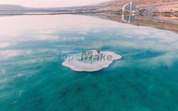 why-are-there-such-strange-names-as-dead-sea-black-sea-red-sea-picture-2-q8R3ZjyMn.jpg